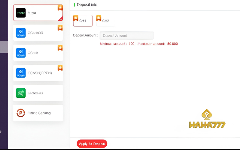 payment method and policies