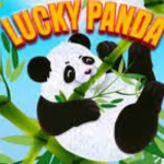 lucky panda