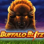 buffalo blitz
