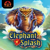 Elephant Splash