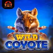 Wild Coyote