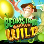 Beanstalk Grows Wild